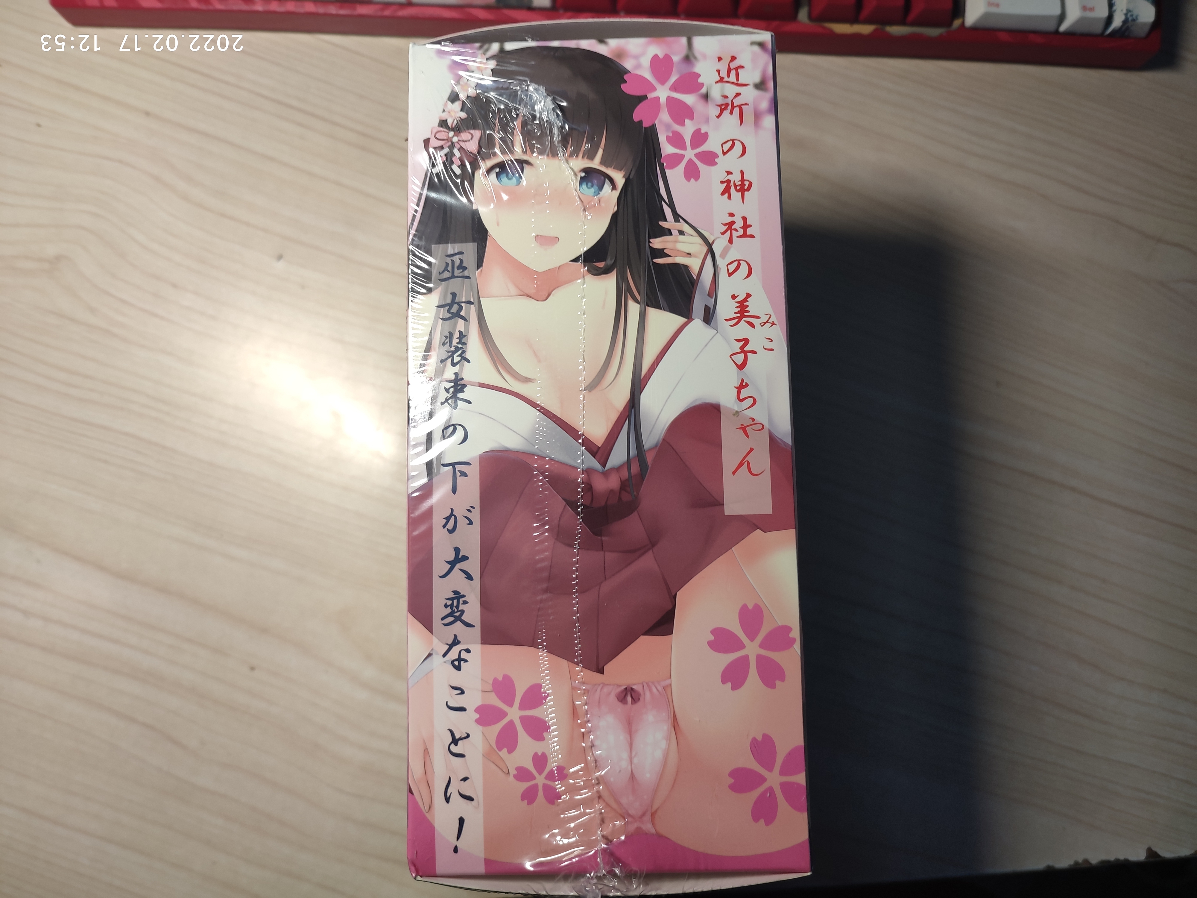 MODE巫女美子-日式巫女的子宫探索1 MODE巫女美子-日式巫女的子宫探索