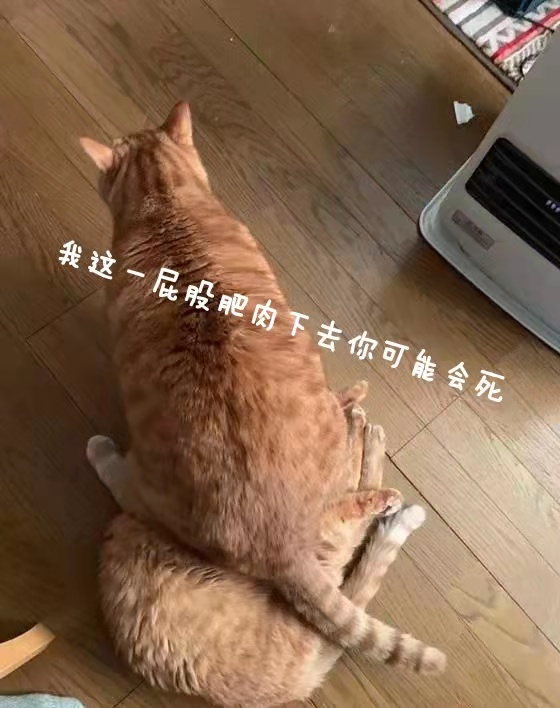 “小伙子,鹅蛋一样大的杯子你“尝过”没?”—紧致肉蛋(中低刺激)评测1 “小伙子,鹅蛋一样大的杯子你“尝过”没?”—紧致肉蛋(中低刺激)评测