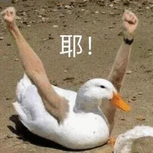 “牛乳池爬出来的香气天使”— 泳池天使(中刺激)评测11 “牛乳池爬出来的香气天使”— 泳池天使(中刺激)评测