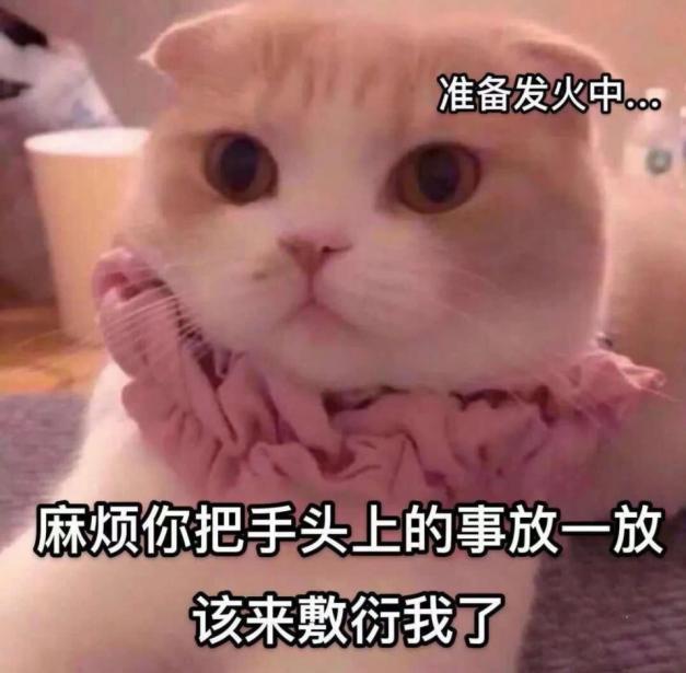 “翻转吧魔法娘!”— 魔法娘(中稍高刺激)评测6 “翻转吧魔法娘!”— 魔法娘(中稍高刺激)评测