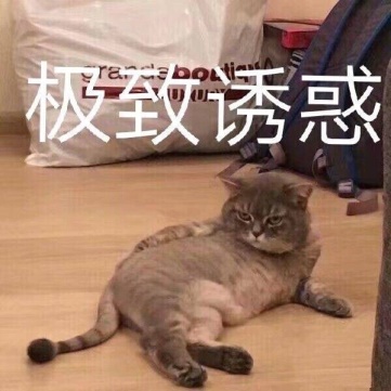 “纯洁的身体魅魔的心~”— 纯洁之尻 加硬版(中高刺激)评测8 “纯洁的身体魅魔的心~”— 纯洁之尻 加硬版(中高刺激)评测