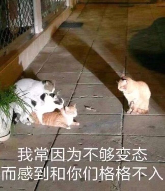 “不会物理的蠕虫怪不是一个好旗袍娘(大雾)”— 旗袍娘(中刺激)评测5 “不会物理的蠕虫怪不是一个好旗袍娘(大雾)”— 旗袍娘(中刺激)评测