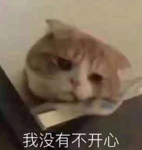 “我不看这些的.jpg”— exe 桥本有菜评测5 “我不看这些的.jpg”— exe 桥本有菜评测