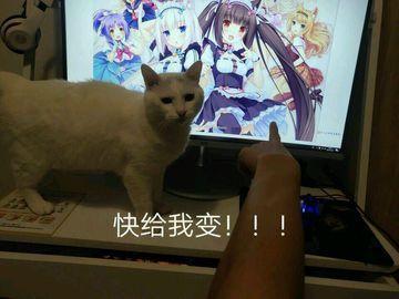 “快给我变!!!”—猫又娘评测1 “快给我变!!!”—猫又娘评测
