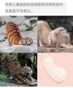 “我的*宫恋爱物语果然有问题!”—弯曲*宫评测6 “我的*宫恋爱物语果然有问题!”—弯曲*宫评测