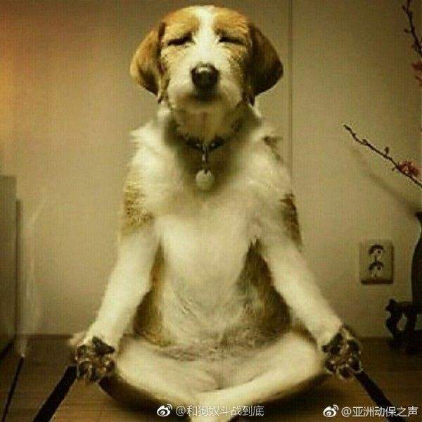 “又一位筋肉小姐姐!”—柔肌快感/螺旋四重奏 HARD版评测5 “又一位筋肉小姐姐!”—柔肌快感/螺旋四重奏 HARD版评测