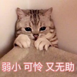 “锻炼的关键是爱心!”—R18评测5 “锻炼的关键是爱心!”—R18评测