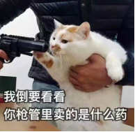 “噗叽萌女开荒记~”—PUNI600评测1 “噗叽萌女开荒记~”—PUNI600评测