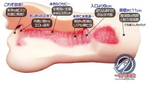 “我的绅士之魂燃了。”—阅览注意姐姐-hard版评测4 “我的绅士之魂燃了。”—阅览注意姐姐-hard版评测