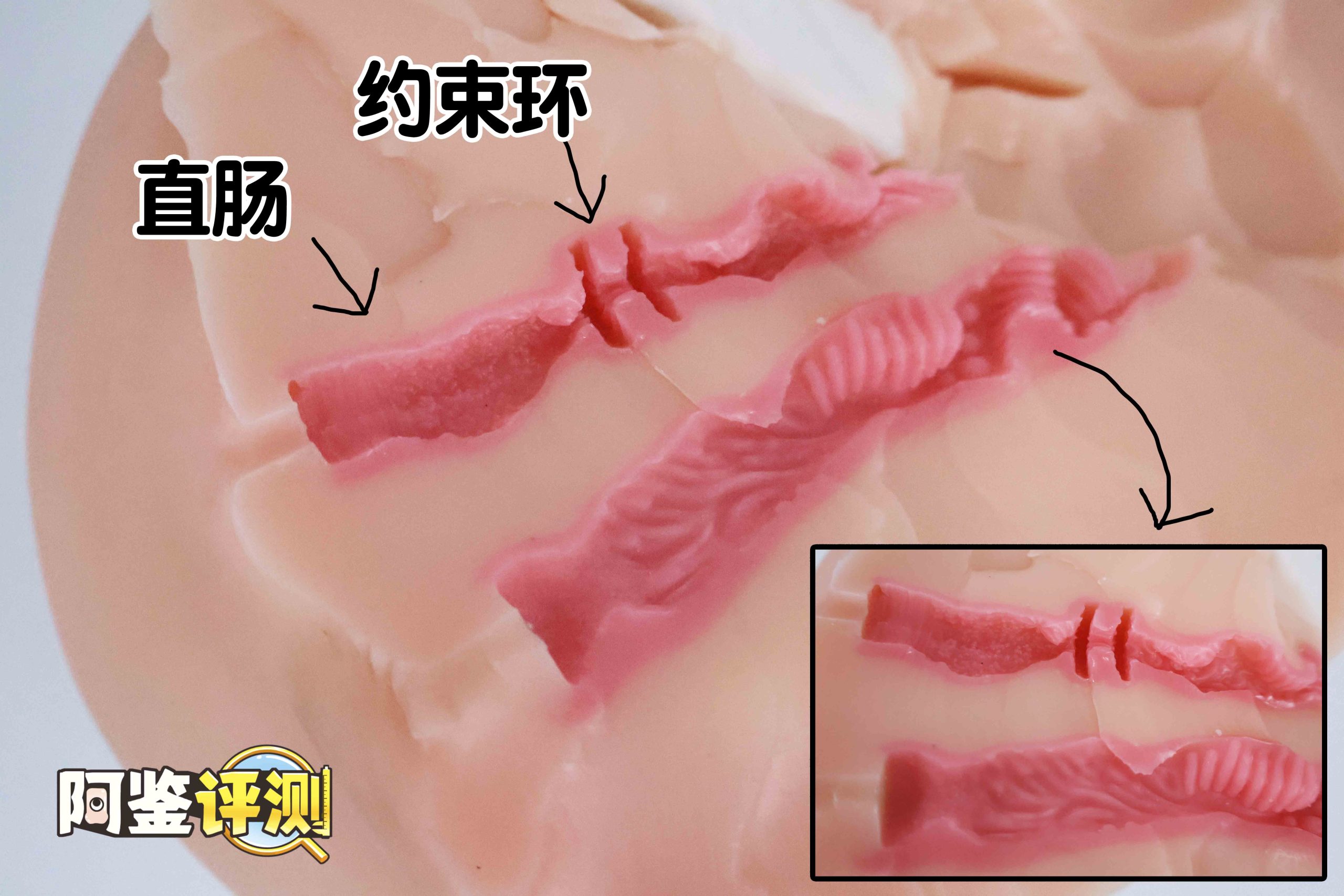 Lovefactor“风铃御使”评测!臀模界的革新工艺,真实形态的肉感波浪!36 Lovefactor“风铃御使”评测!臀模界的革新工艺,真实形态的肉感波浪!