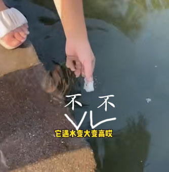10种会让你的飞机杯光速去世的情况!千万注意!超全的小玩具保养指南!6 10种会让你的飞机杯光速去世的情况!千万注意!超全的小玩具保养指南!