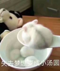 YUU柔臀似水倒模名器评测 – 果冻材质的臀