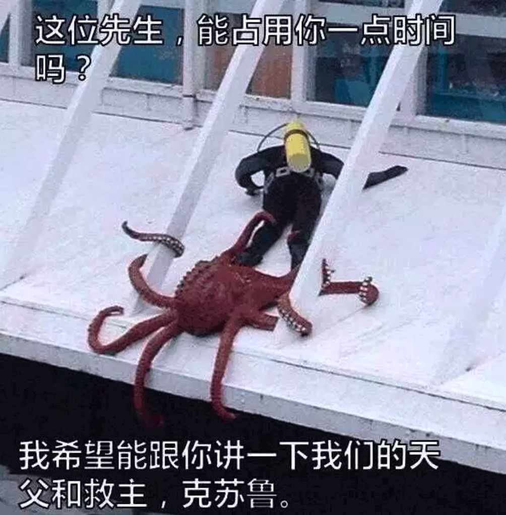 YUU柔臀似水屁股倒模名器测评 – 软萌plus+