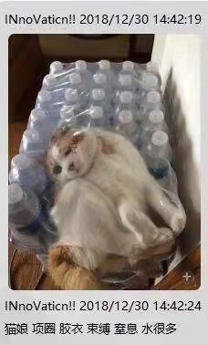 YUU真实深田生乳倒模评测 – 有容*大~