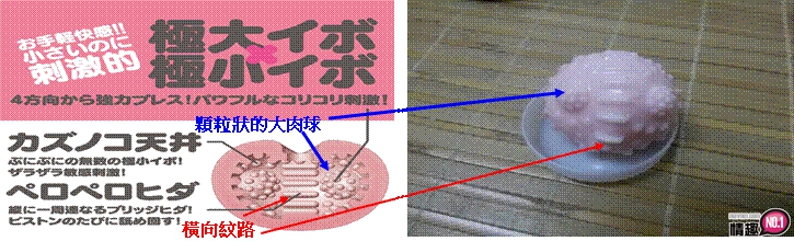 日本EXE360度包覆伸缩採精小处女-短小精干，超好用到加购好几组!;;