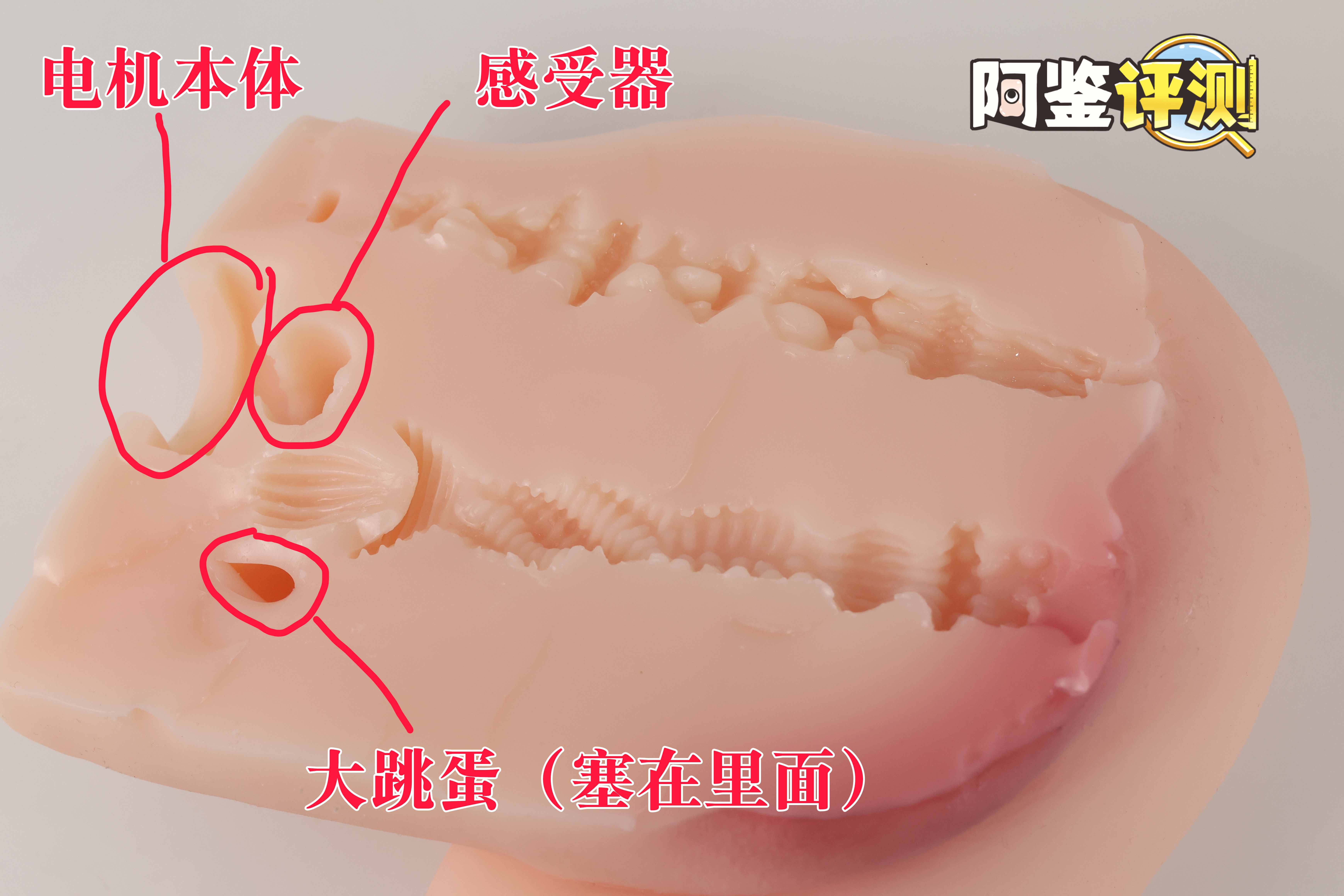 趣网COC——“杯魔女”评测!屁股就是用来拍的!爆笑流“抖动”臀模!18 趣网COC——“杯魔女”评测!屁股就是用来拍的!爆笑流“抖动”臀模!