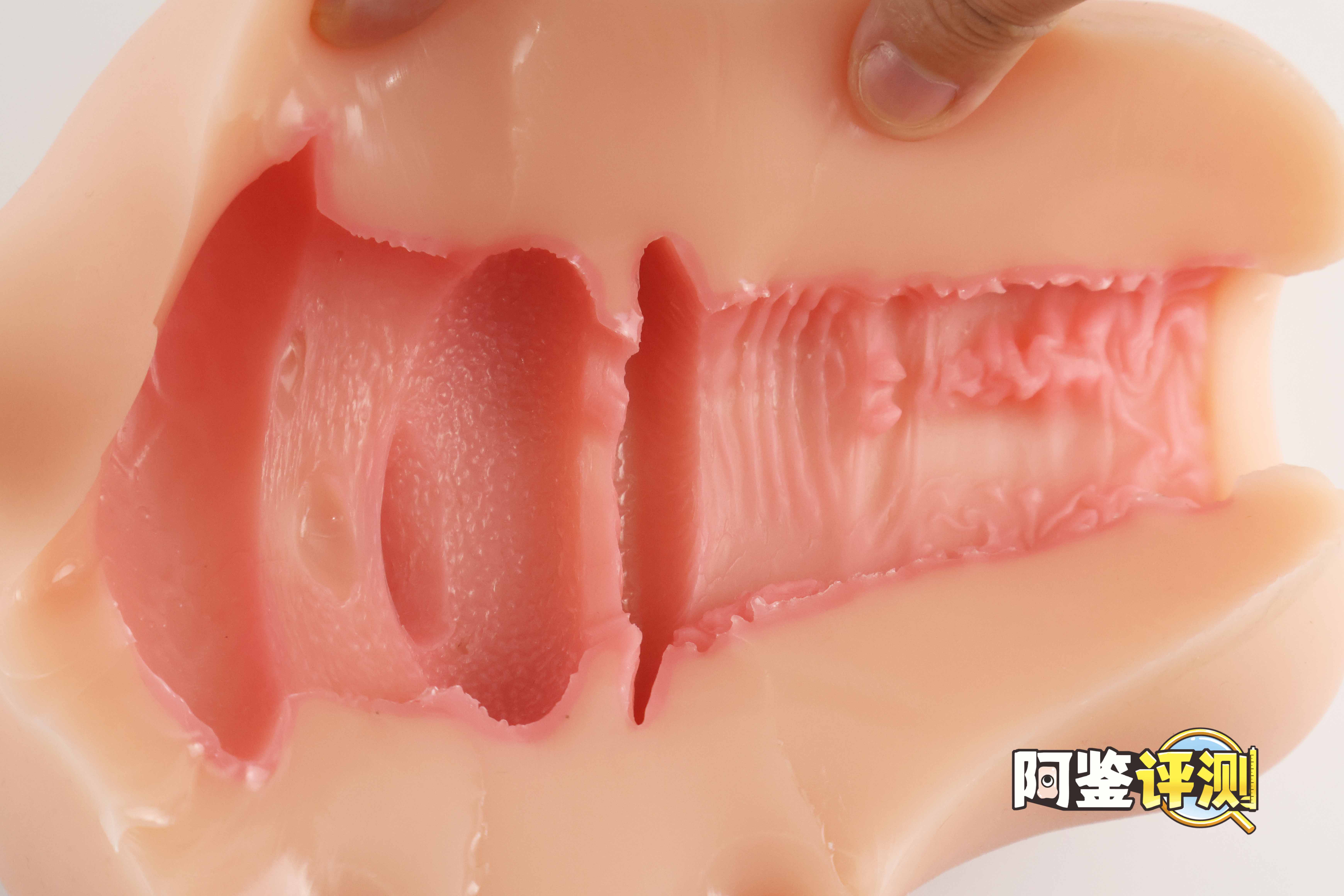 要…要被猫猫“暴风吸入”惹！——GXP-“赫萝猫娘”评测（高刺激）！[db:副标题]