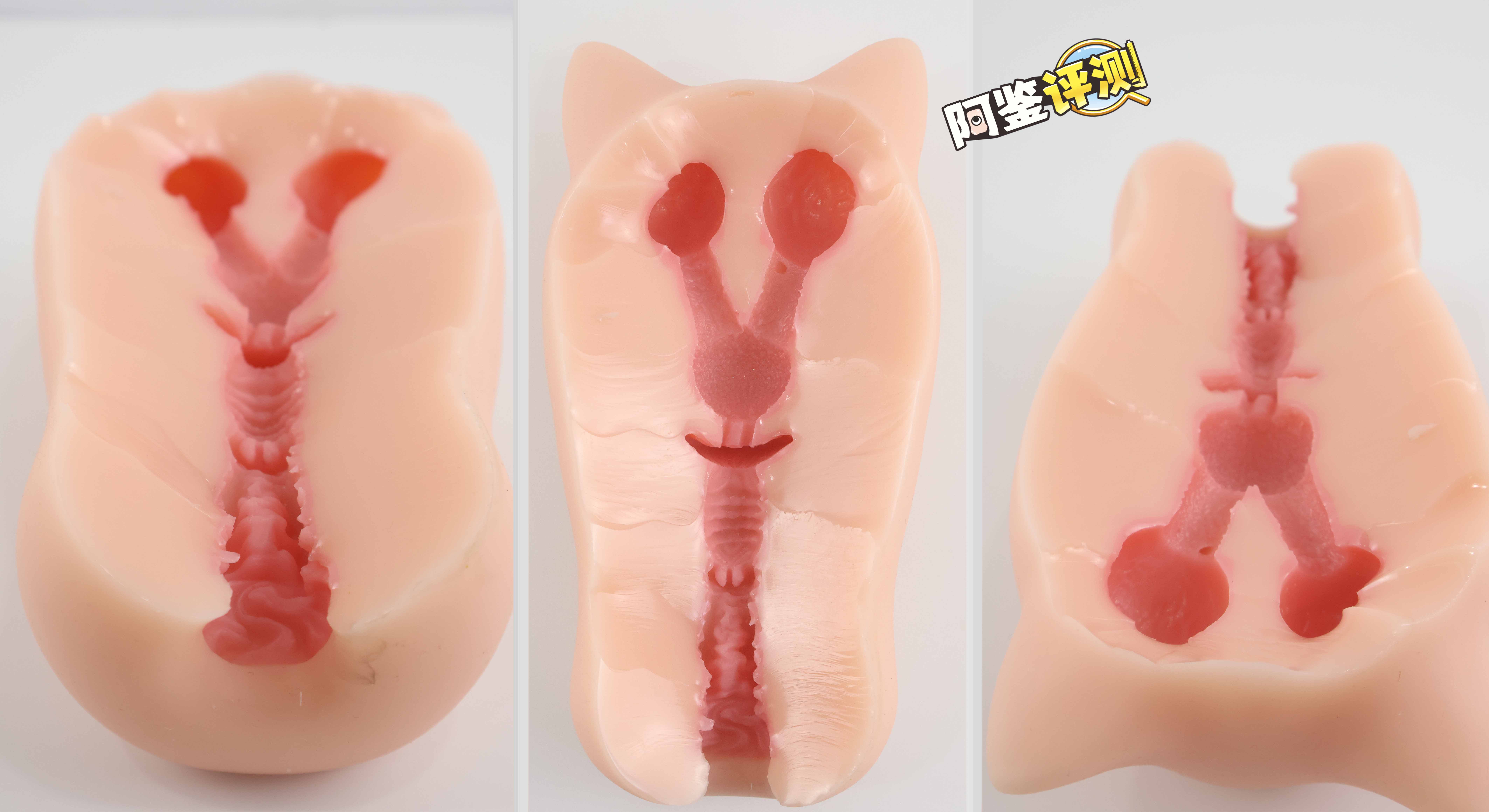 要…要被猫猫“暴风吸入”惹！——GXP-“赫萝猫娘”评测（高刺激）！[db:副标题]