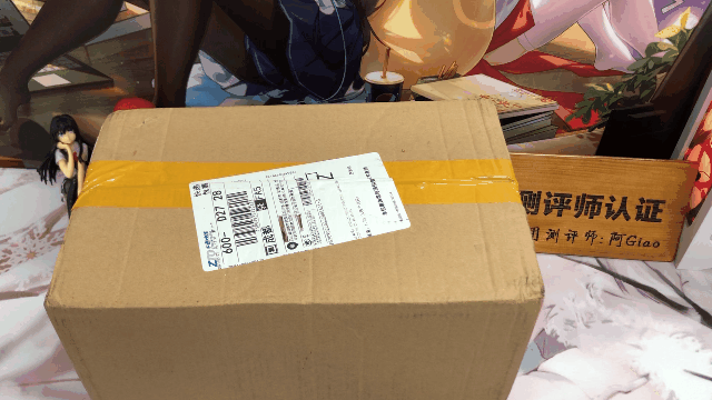 榜一大哥进入了直播间！DID主播在线评测——（4星推荐）[db:副标题]