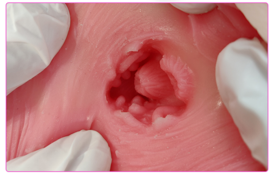 榜一大哥进入了直播间！DID主播在线评测——（4星推荐）[db:副标题]