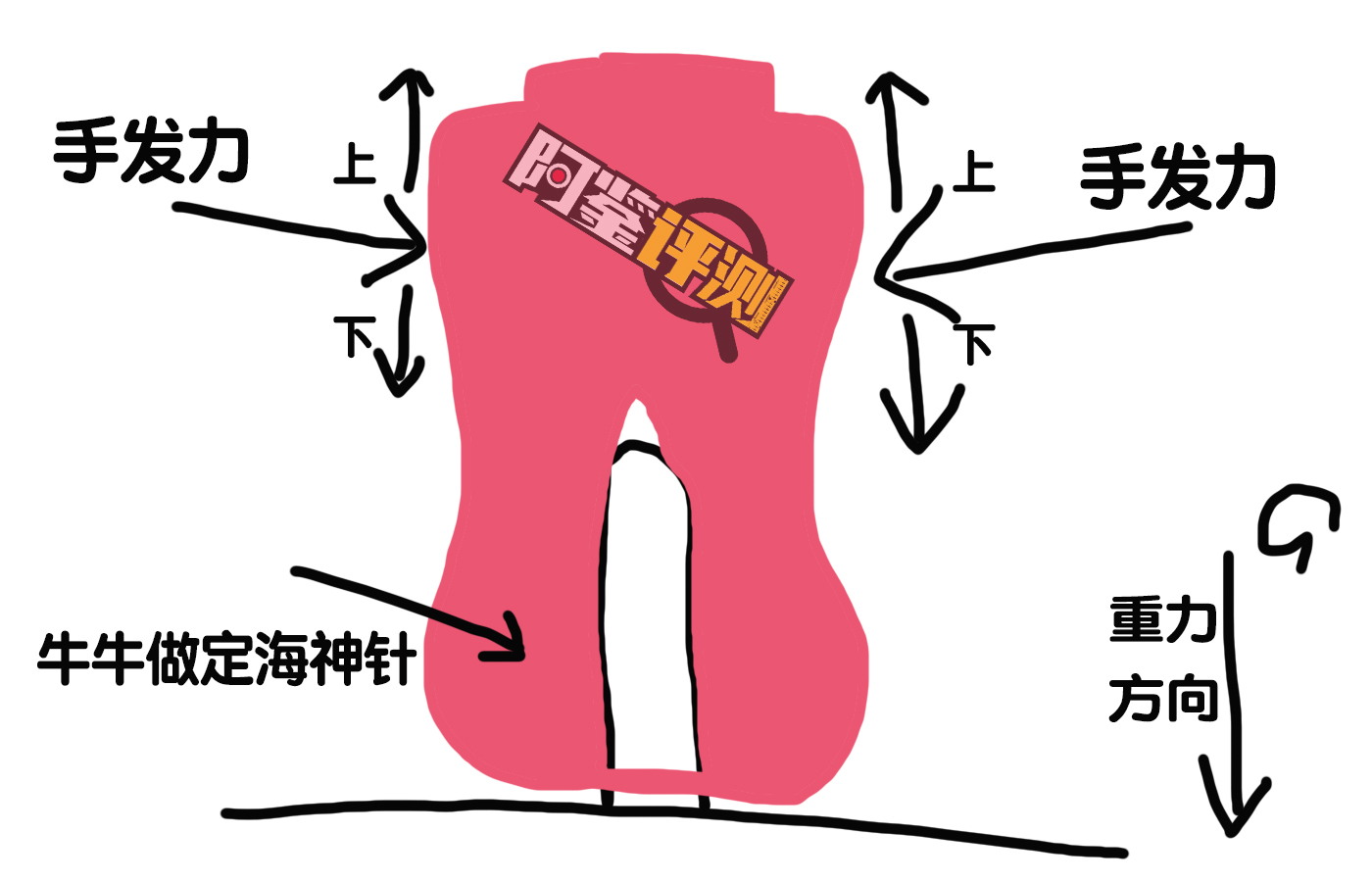 GXP-幻梦生腔“月姬”（小身体）评测！外观“丰富”的小型倒模，大身体的方便替代款！（四星推荐）[db:副标题]