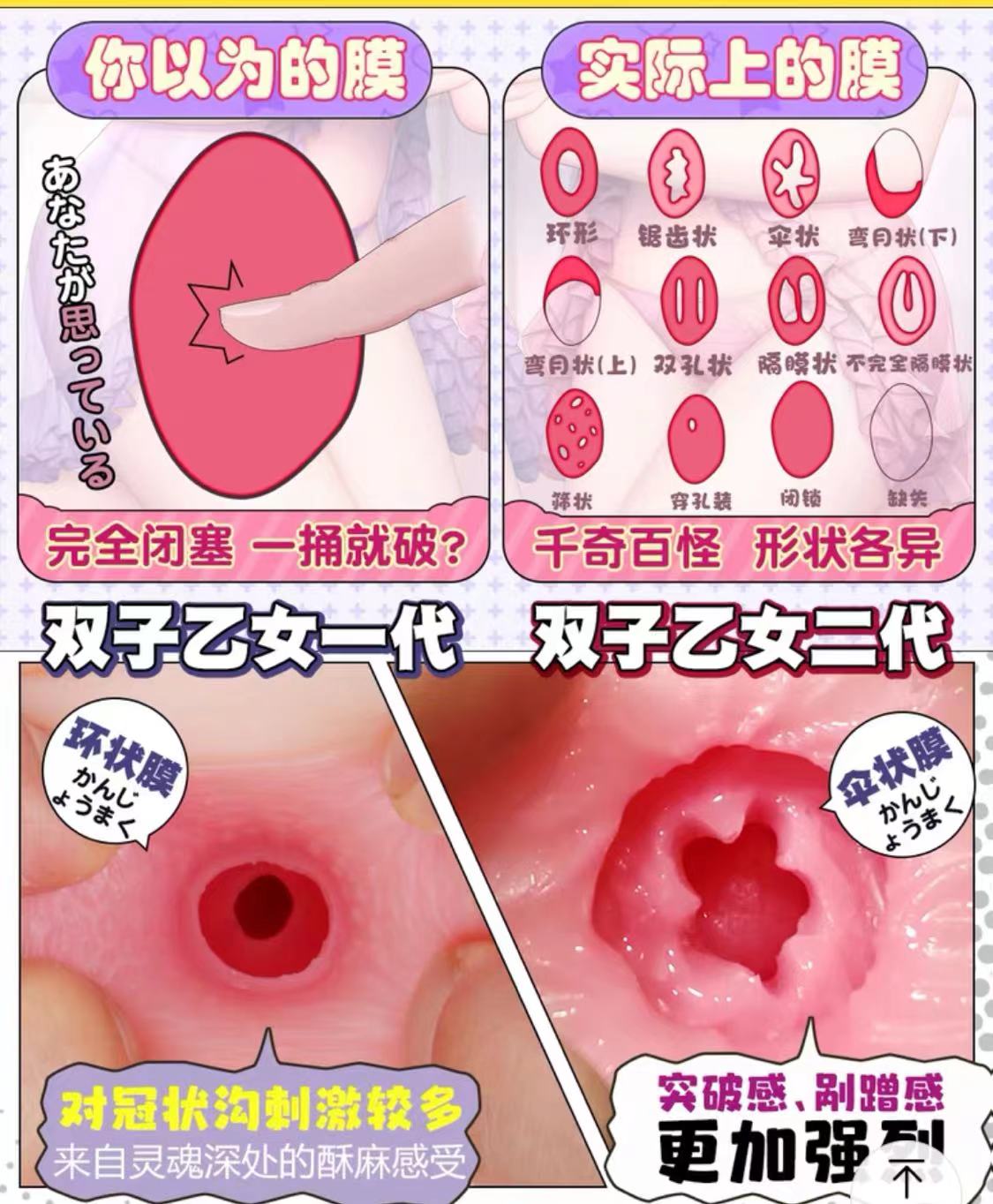 曲折蜿蜒，处子体验——GXP双子乙女二代评测（中高刺激）四星推荐[db:副标题]