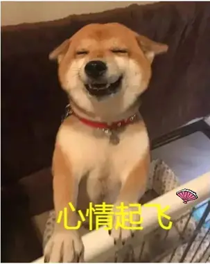 高性价比的真实口感-杯多多真实之口评测