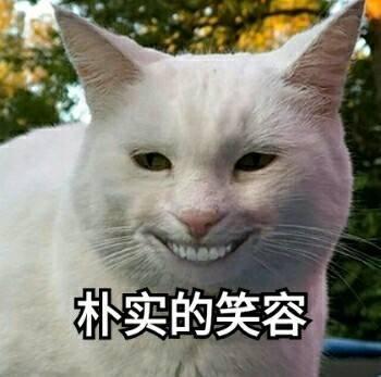 对子哈特 工口姐姐二代飞机杯名器评测 – 大姐姐的深夜诱惑10 对子哈特 工口姐姐二代飞机杯名器评测 – 大姐姐的深夜诱惑