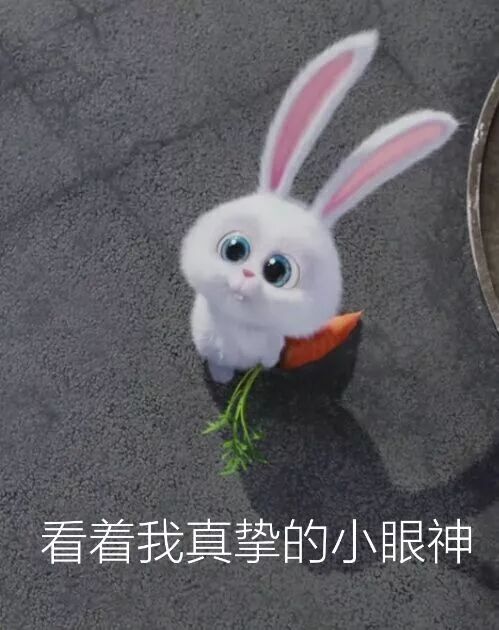 EXE奶瓶1代飞机杯刺激版评测4 EXE奶瓶1代飞机杯刺激版评测