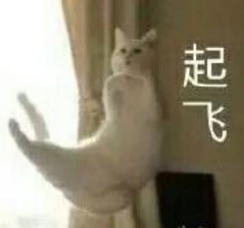 YUU虎牙妹妹飞机杯评测 – 鬼才设计师的虎牙创意6 YUU虎牙妹妹飞机杯评测 – 鬼才设计师的虎牙创意