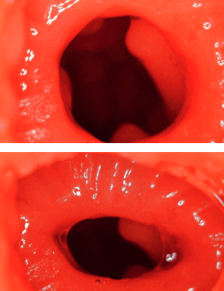 YUU 小优物语飞机杯 – 来自一个素人老哥的投稿,非常详细,可当新手教程!24 YUU 小优物语飞机杯 – 来自一个素人老哥的投稿,非常详细,可当新手教程!