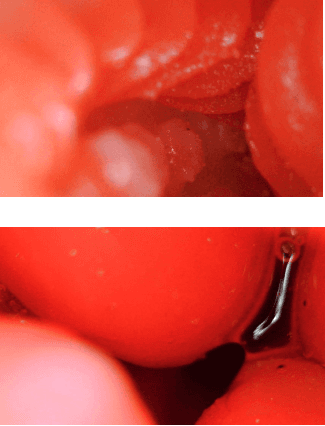 YUU 小优物语飞机杯 – 来自一个素人老哥的投稿,非常详细,可当新手教程!25 YUU 小优物语飞机杯 – 来自一个素人老哥的投稿,非常详细,可当新手教程!