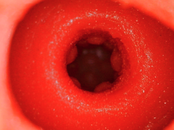 YUU 小优物语飞机杯 – 来自一个素人老哥的投稿,非常详细,可当新手教程!26 YUU 小优物语飞机杯 – 来自一个素人老哥的投稿,非常详细,可当新手教程!