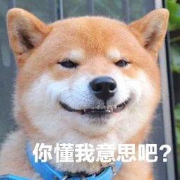 女票不在身边空虚寂寞？有秘密武器就够了