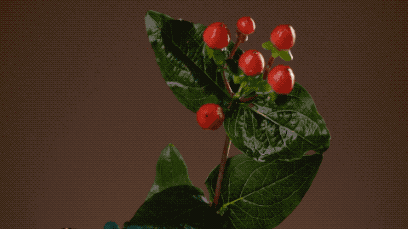 她说:我想知道女人真高潮时是什么感觉3 她说:我想知道女人真高潮时是什么感觉