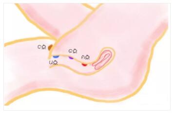 让她高潮迭起的口爱技巧竟然是它6 让她高潮迭起的口爱技巧竟然是它
