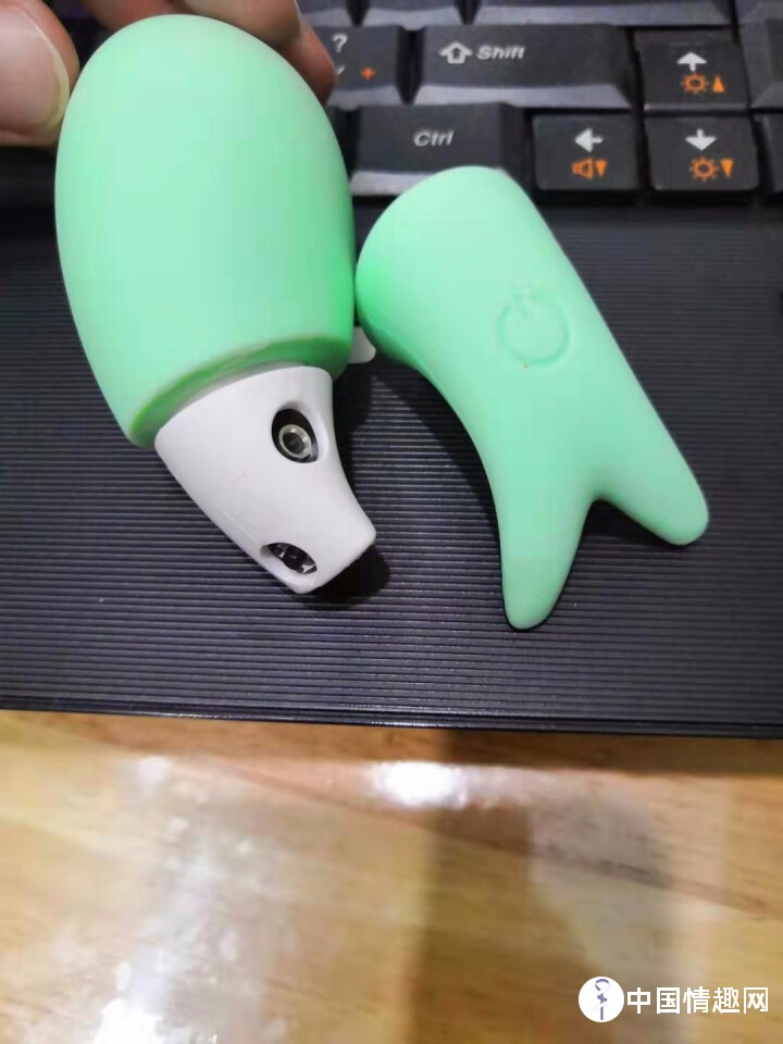 小鲸鱼跳蛋自用测评！