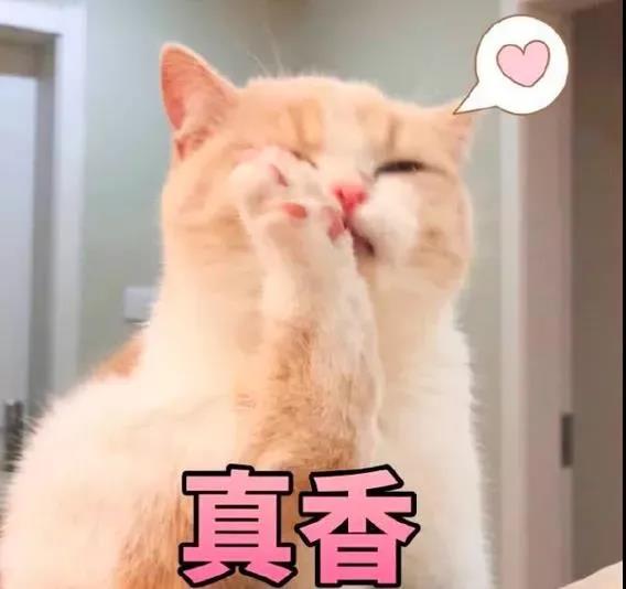 仙女测评┃派蒂菈穿戴小玩具6 仙女测评┃派蒂菈穿戴小玩具