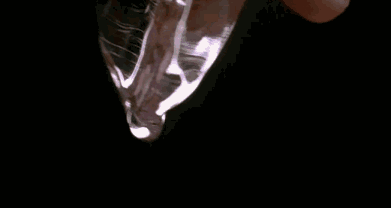 S-HANDE丨SM入门级玩法「滴蜡」