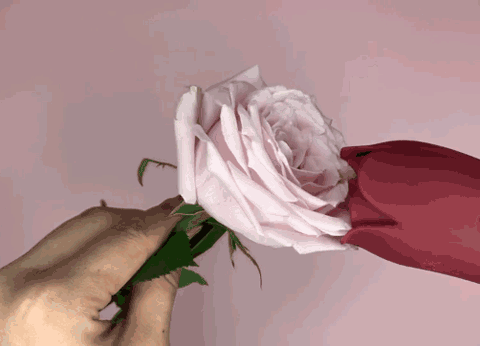 米斯朵拉“小舌精”震动棒测评