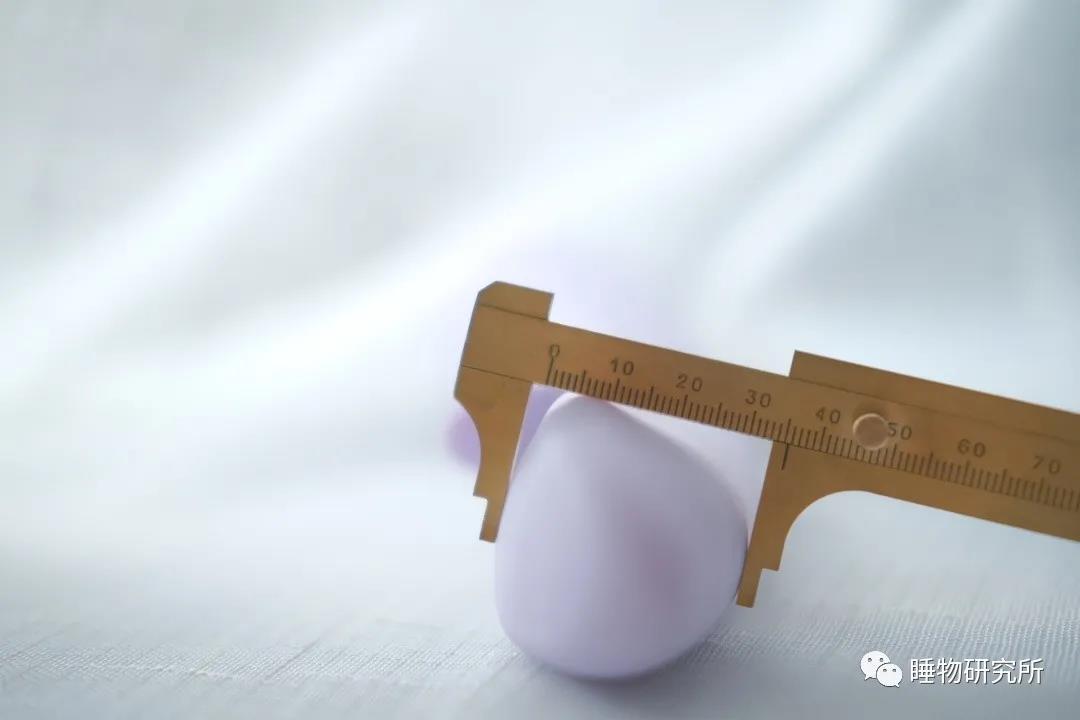 玩具测评Vol.40：TITILLO萌芽