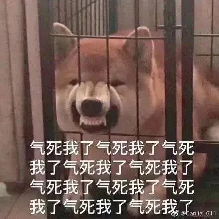 惊了!一个勺子竟然能让人嗨爽连连……TITILLO2 惊了!一个勺子竟然能让人嗨爽连连……TITILLO