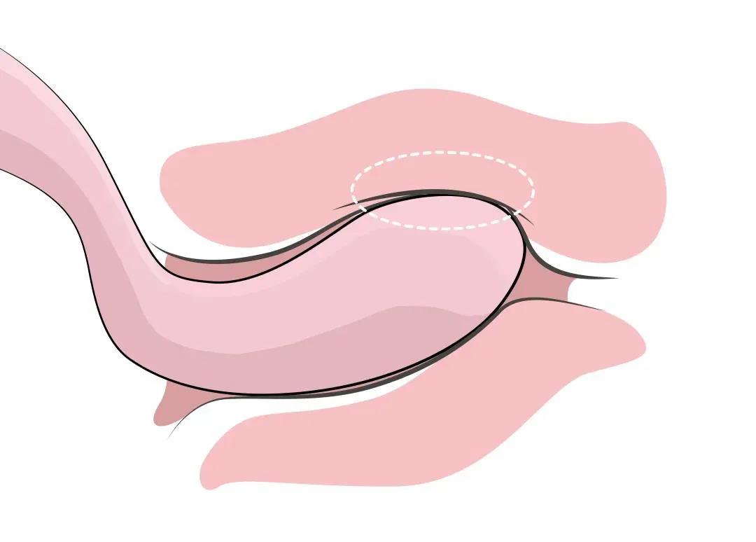 【玩测评】逃不掉的!这个S型的“人间扳手”,彻底搞定了我10 【玩测评】逃不掉的!这个S型的“人间扳手”,彻底搞定了我