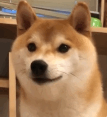 ROMPFlip艾薇棒测评5 ROMPFlip艾薇棒测评