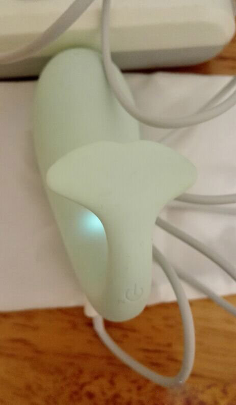 小鲸鱼智能跳蛋测评