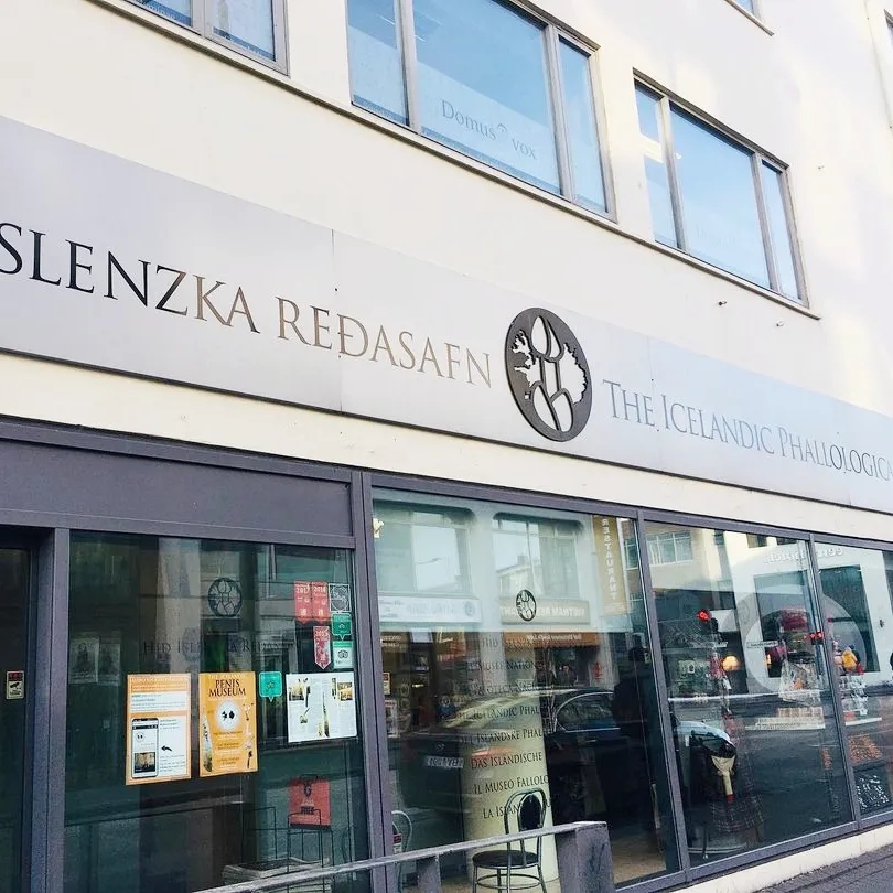 【吴小飘玩测评】神奇丁丁和它的好朋友