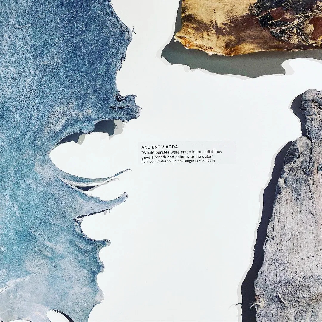 【吴小飘玩测评】神奇丁丁和它的好朋友