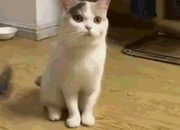 这款BDSM调教箱比王牌特工的还叼13 这款BDSM调教箱比王牌特工的还叼