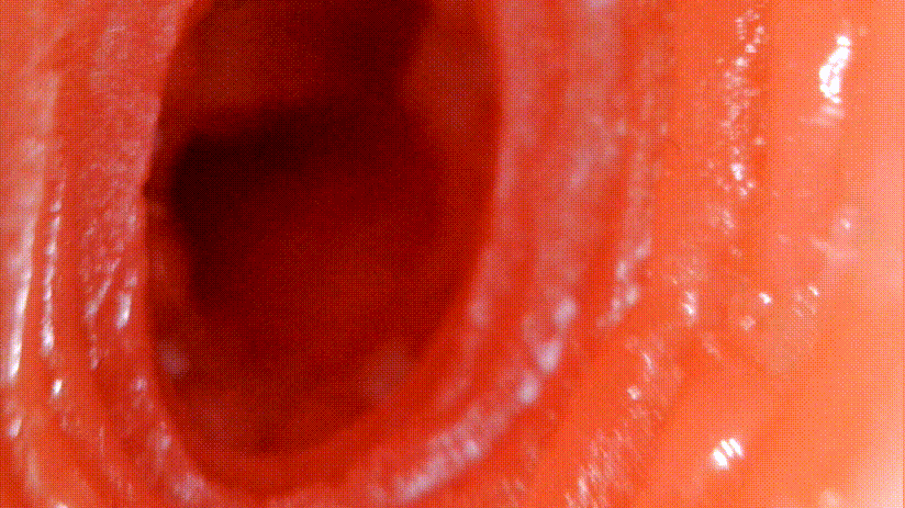 我拿下女神的秘诀就是它!–评测TMT“彼女姐姐”名器!真香!16 我拿下女神的秘诀就是它!–评测TMT“彼女姐姐”名器!真香!