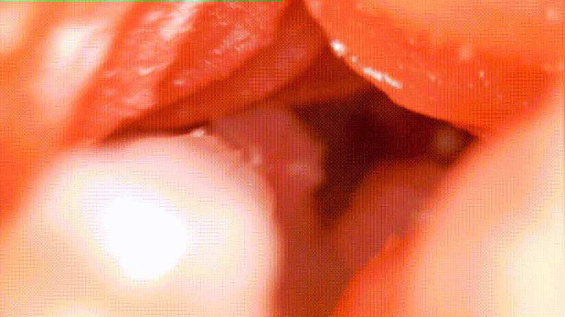 我拿下女神的秘诀就是它!–评测TMT“彼女姐姐”名器!真香!17 我拿下女神的秘诀就是它!–评测TMT“彼女姐姐”名器!真香!